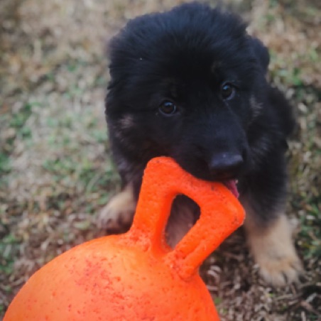 No ball is too big No ball is too big